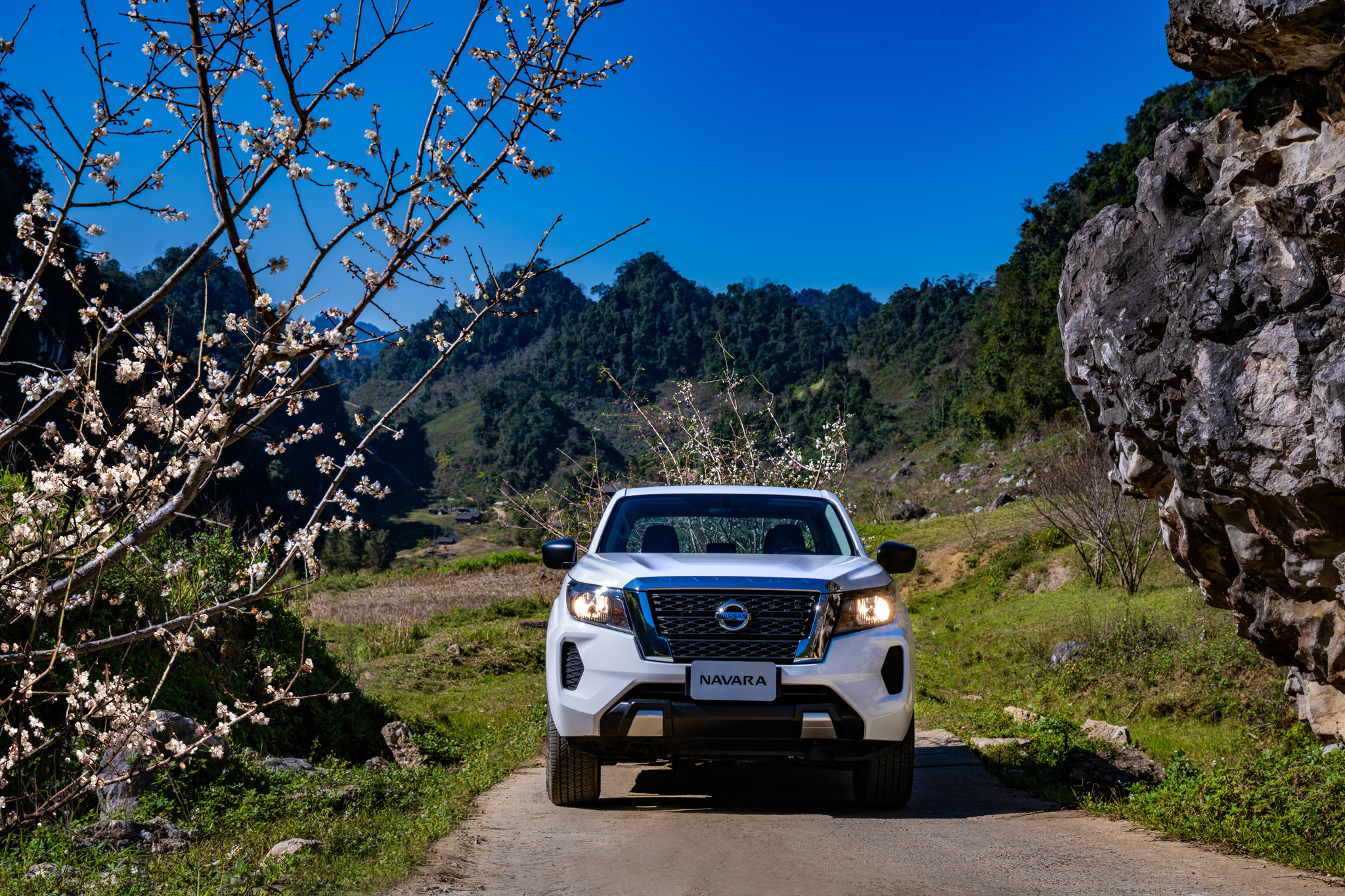 Nên mua Nissan Navara mới hay đã qua sử dụng